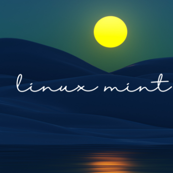Linux Mint - Digital art landscape by night and moonlight