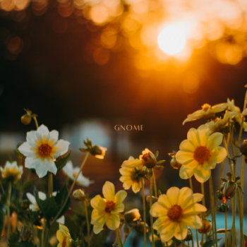Gnome - Calendar - March 2024 - Spring sunset