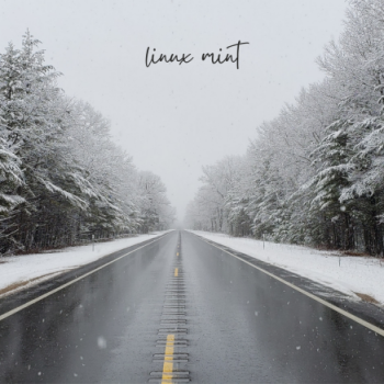 Linux Mint - Winter road scene with trees covered by snow