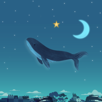 Gnome - Flying whale by night