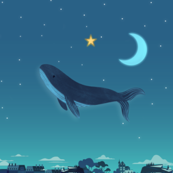 Kde Plasma - Flying whale by night