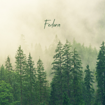 Fedora - Green forest