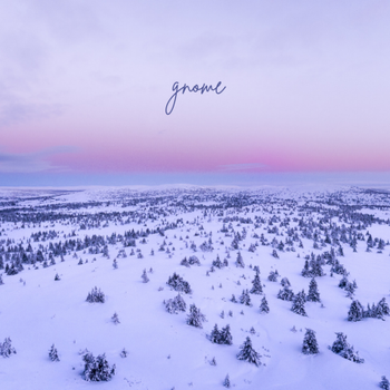 Gnome - Winter landscape