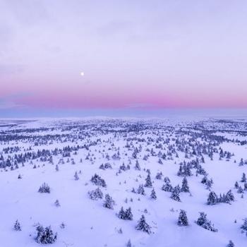 Snow Covered Field
