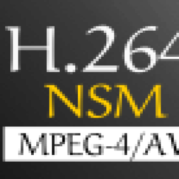 NSM screen recording [10 FPS ] HQ small render size