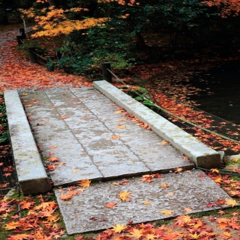 Slate bridges-Enkoji Temple Autumn wallpaper