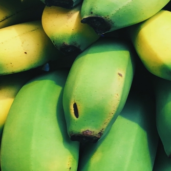 Bananas fruits many-Food Theme HD Wallpaper