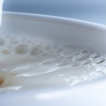 Milk cup stream white-2016 Food HD Wallpaper