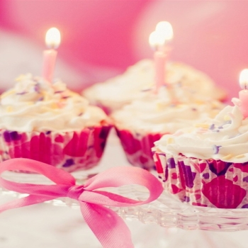Sweet cupcakes food theme HD desktop wallpaper..