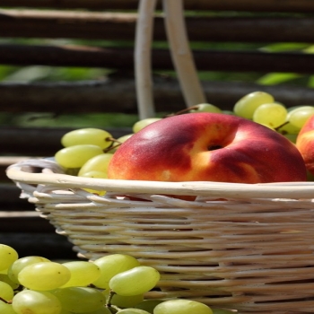 Nectarines and grapes-fruit food wallpaper