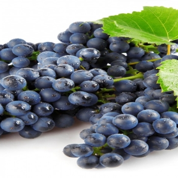 Grapes berries branch-fruit food wallpaper
