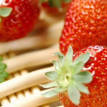 strawberries berry ripe-Food HD Wallpaper