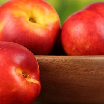 nectarine fruit ripe-Food HD Wallpaper