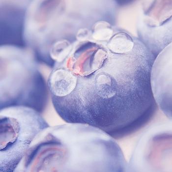 berries close-up-Food HD Wallpaper