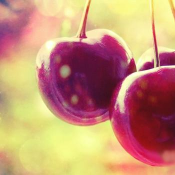 three cherry berry-Food HD Wallpaper