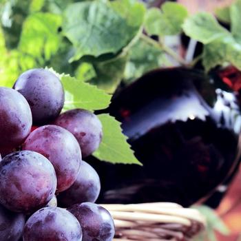 bottle wine drink-Food HD Wallpaper