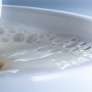milk cup stream white-food drinks HD wallpaper