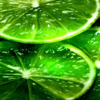 lime segments slices-food drinks HD wallpaper
