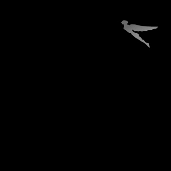 Splash screen