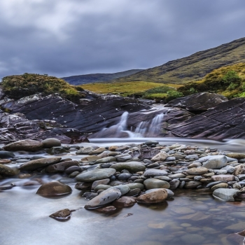 Beautiful bushes river flow