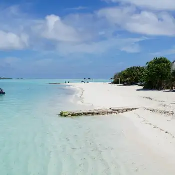 maldives tropical beach-Nature wallpaper