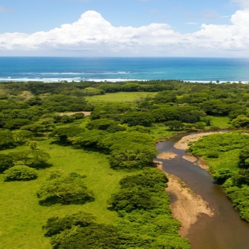 Forest Coast Ocean Guanacaste Samara Costa Ric