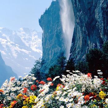 White and Red Flowers Near Waterfalls During Daytime Full HD