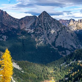 Okanogan-wenatchee National Forest