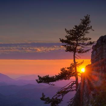 Green Trees on Mountain During Sunset Full HD