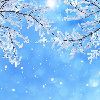 White and Blue Sky Over Leafless Tree Full HD