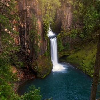 Water Falls in The Middle of The Forest Full HD