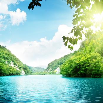 Natural Landscape