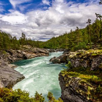 Green Trees Beside River Under Blue Sky During Daytime Full