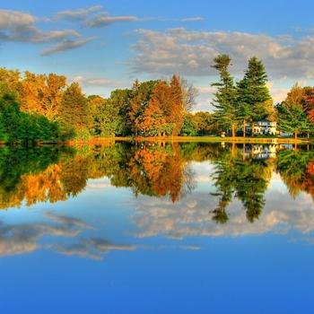 Green Trees Beside Lake Under Blue Sky During Daytime Full