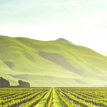 Regenerative Agriculture