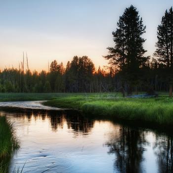 Green Grass Field Near Lake During Daytime Full HD