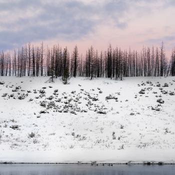 2018 Jungle Cold Winter River Coast Snow