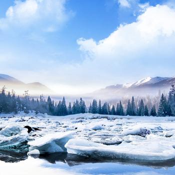 Cold Winter Mountains Jungle Freeze River
