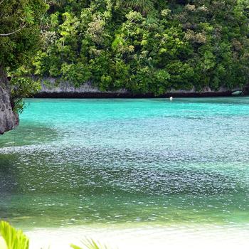 Summer tropical island jungle lake photography