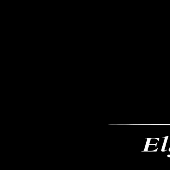 Elgen Splash