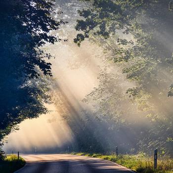 Fog Sunbeams