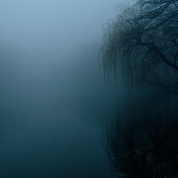 The Fog Darkness Nature