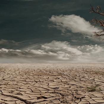Desert Drought