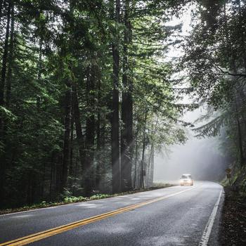 Car Sunlight Forest