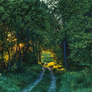 Nature landscape wallpaper