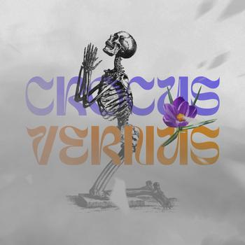 Crocus Vernus