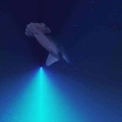 In the deep - KDE Store