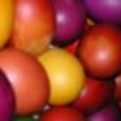 eggs - KDE Store