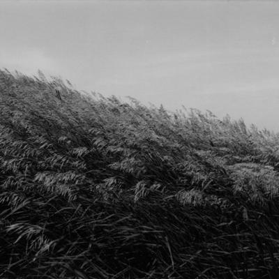 Grass hill - KDE Store
