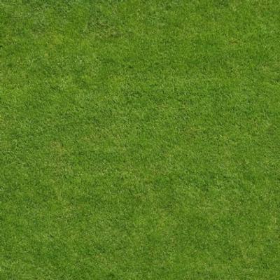 on the grass - KDE Store
